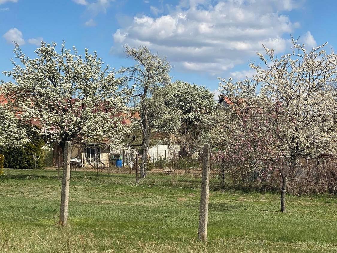 Prázdninový dům SORADA Rohatec Exterior foto